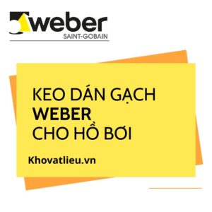 Keo dán gạch Weber cho hồ bơi nên dùng loại nào?